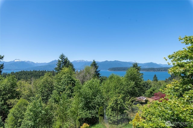 8474 NW Foxhall Ln, Silverdale, WA 98383 - photo 36