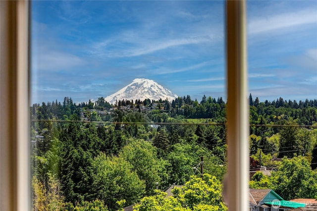 4304 S Holden St, Seattle, WA 98118 - view of mountain background