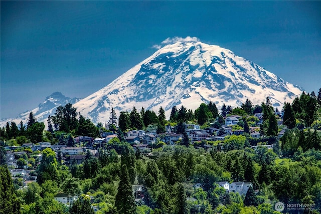 4304 S Holden St, Seattle, WA 98118 - mountain view