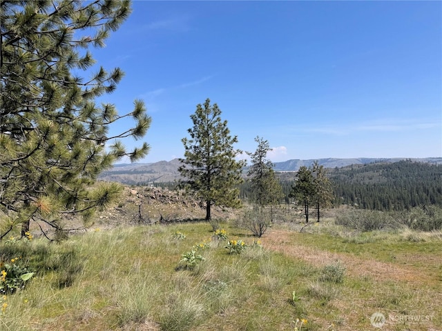 2 Hart Rd N, Davenport, WA 99122