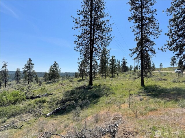 2 Hart Rd N, Davenport, WA 99122