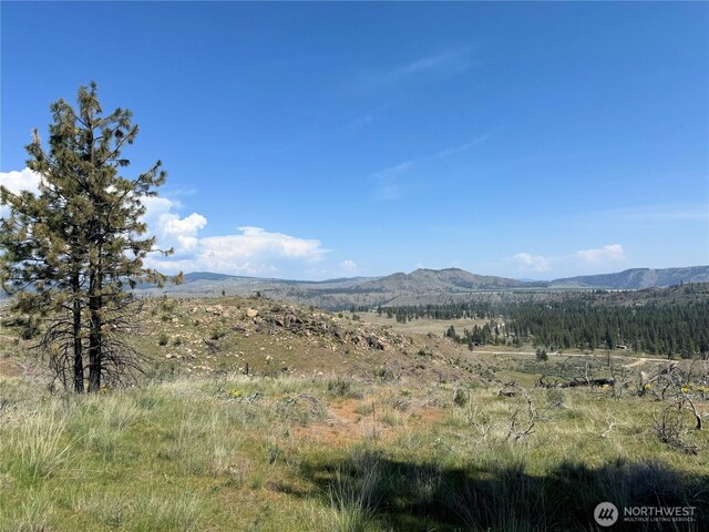 2 Hart Rd N, Davenport, WA 99122