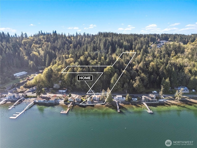 14103 E State Route 106, Belfair, WA 98528 - aerial view with a water view and a forest view