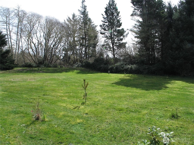 34610 T Ln, Oysterville, WA 98641 - photo 9