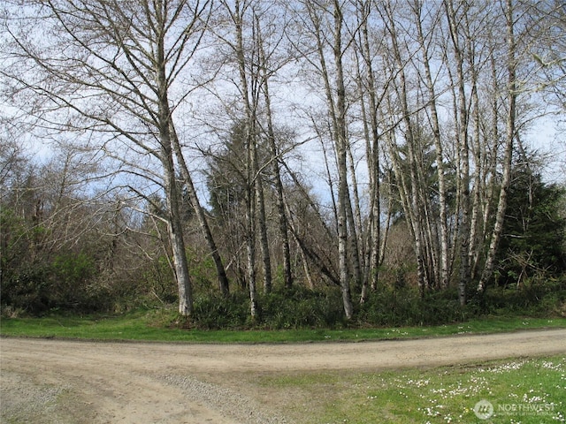 34610 T Ln, Oysterville, WA 98641 - photo 10