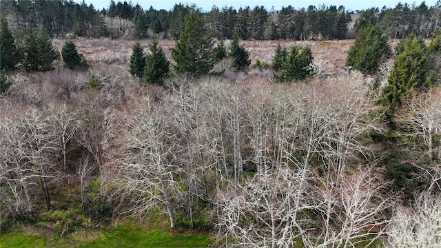 34610 T Ln, Oysterville, WA 98641 - photo 39