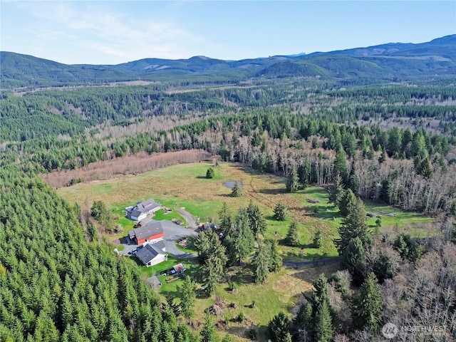 44002 161st Ave E, Eatonville, WA 98328 - photo 37