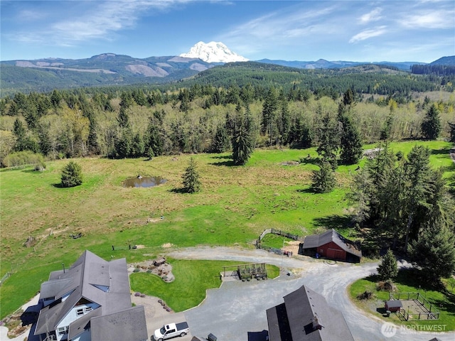 44002 161st Ave E, Eatonville, WA 98328 - photo 5