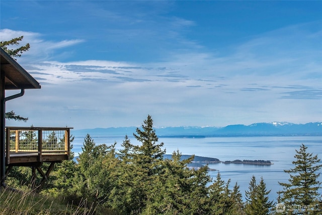 water view featuring a mountain view