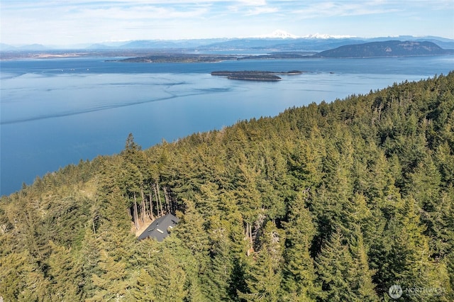 aerial view featuring a water and mountain view and a wooded view