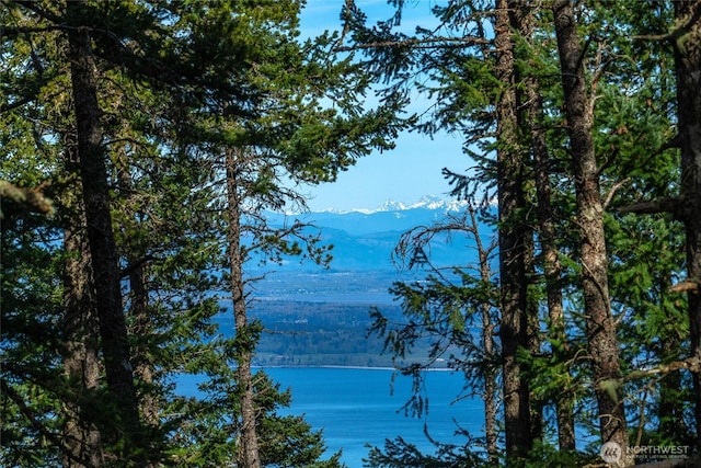view of water feature with a mountain view