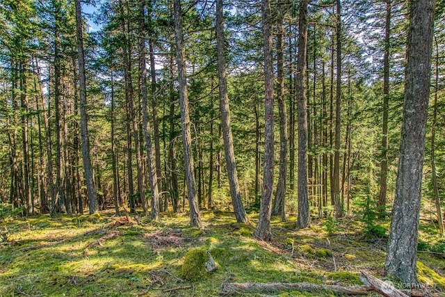 view of landscape featuring a view of trees