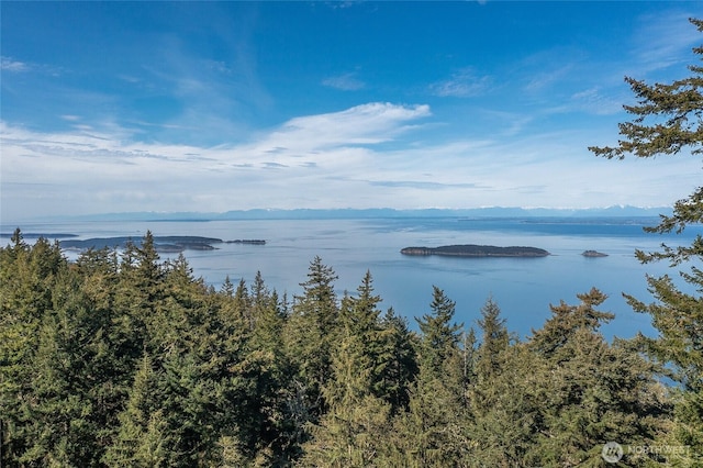 property view of water
