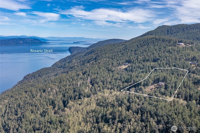 view of mountain feature with a wooded view and a water view