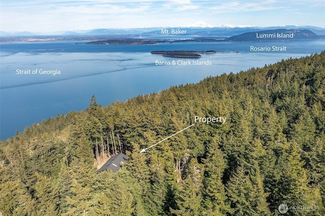 aerial view featuring a wooded view and a water and mountain view