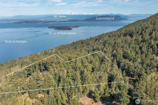 birds eye view of property with a forest view and a water and mountain view
