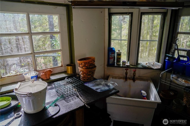 misc room with a sink and a healthy amount of sunlight
