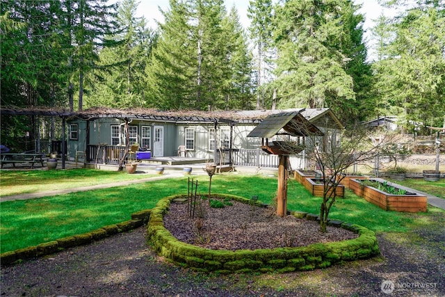 back of property with a yard, a deck, and a vegetable garden