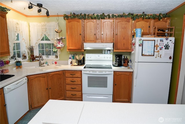 kitchen featuring white appliances, light countertops, under cabinet range hood, and a sink