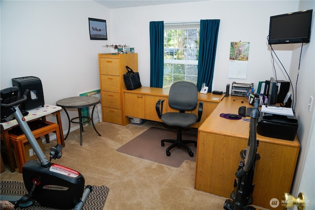 office space with light colored carpet