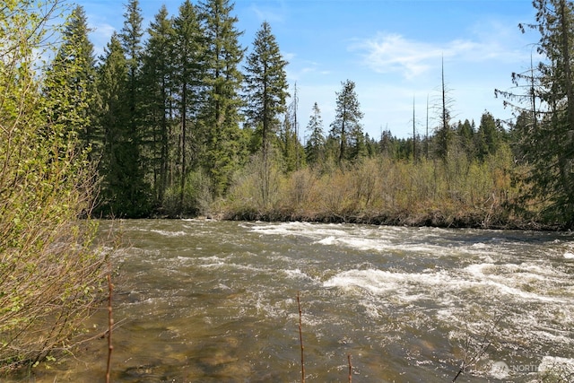 view of local wilderness