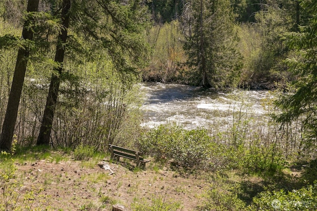 view of nature with a forest view