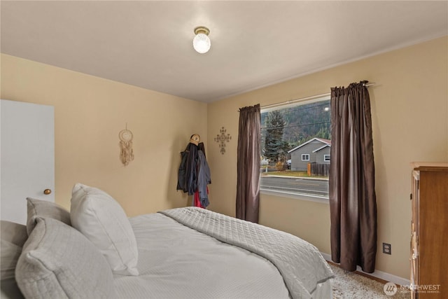 308 Ski Hill Dr, Leavenworth, WA 98826 - photo 15
