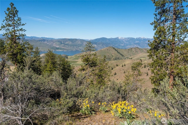 view of mountain feature featuring a water view