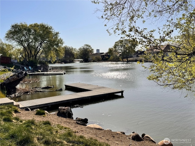 dock area with a water view