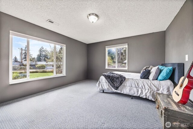 9601 128th Ave NW, Gig Harbor, WA 98329 - photo 17