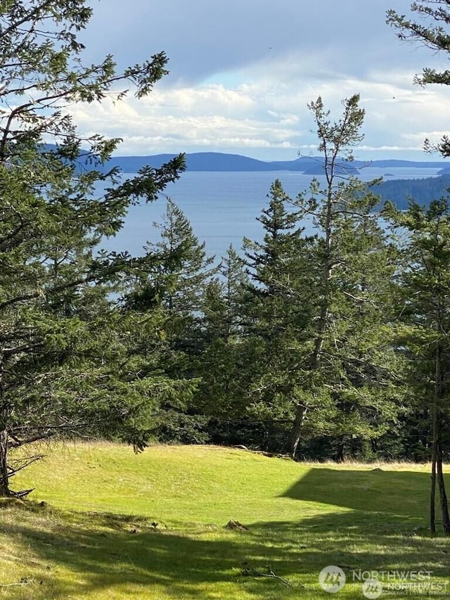 9 Tomihi Dr, Orcas Island, WA 98245 - photo 1
