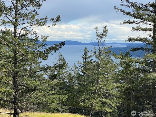 9 Tomihi Dr, Orcas Island, WA 98245 - photo 2