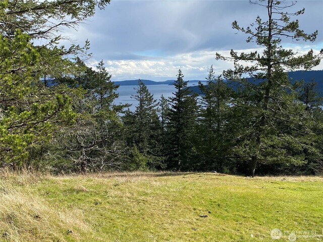 9 Tomihi Dr, Orcas Island, WA 98245 - photo 3