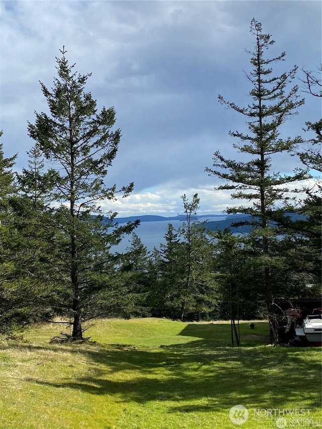 9 Tomihi Dr, Orcas Island, WA 98245 - photo 4