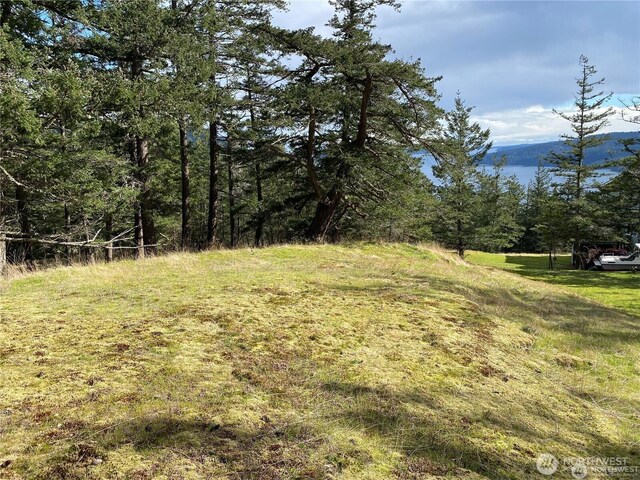 9 Tomihi Dr, Orcas Island, WA 98245 - photo 5
