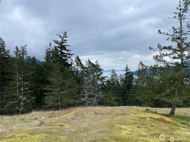 9 Tomihi Dr, Orcas Island, WA 98245 - photo 6