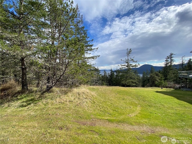 9 Tomihi Dr, Orcas Island, WA 98245 - photo 7