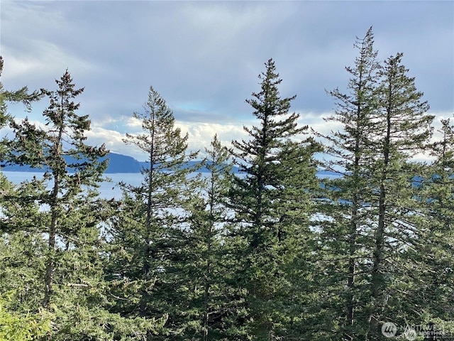 9 Tomihi Dr, Orcas Island, WA 98245 - photo 8