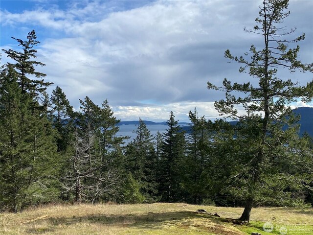9 Tomihi Dr, Orcas Island, WA 98245 - photo 9
