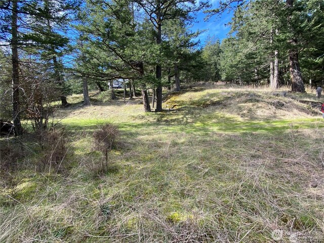 9 Tomihi Dr, Orcas Island, WA 98245 - photo 11