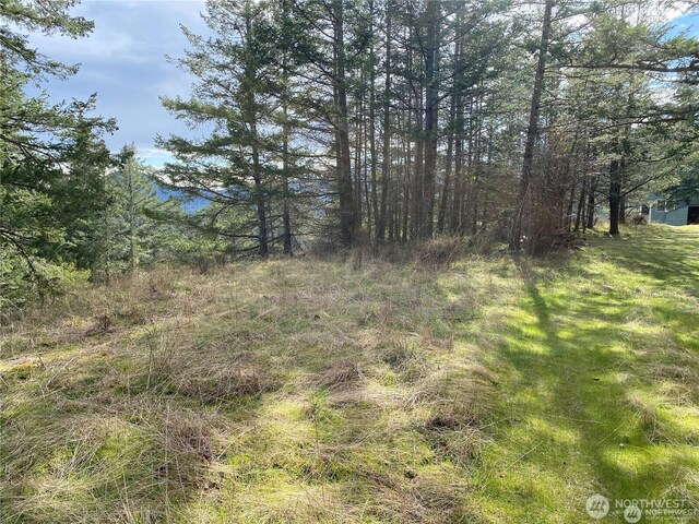9 Tomihi Dr, Orcas Island, WA 98245 - photo 12