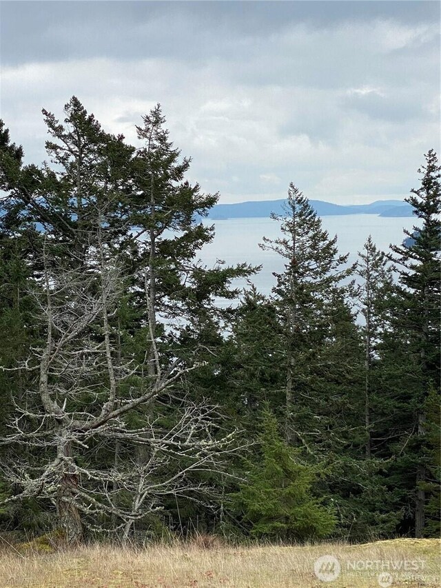 9 Tomihi Dr, Orcas Island, WA 98245 - photo 13