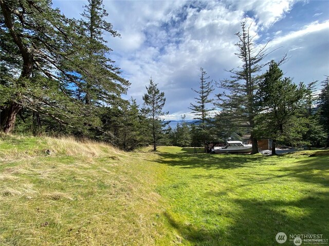 9 Tomihi Dr, Orcas Island, WA 98245 - photo 14