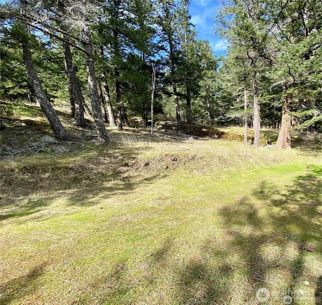9 Tomihi Dr, Orcas Island, WA 98245 - photo 15