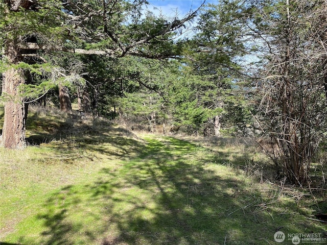 9 Tomihi Dr, Orcas Island, WA 98245 - photo 17