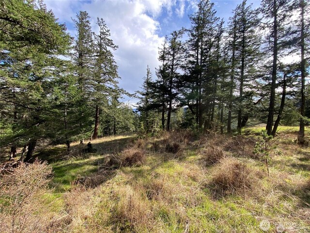 9 Tomihi Dr, Orcas Island, WA 98245 - photo 18