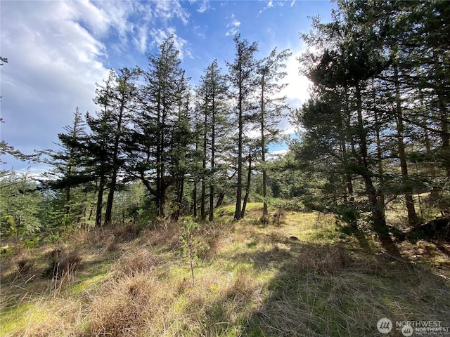 9 Tomihi Dr, Orcas Island, WA 98245 - photo 20