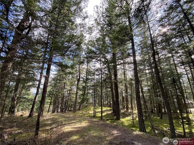 9 Tomihi Dr, Orcas Island, WA 98245 - photo 21