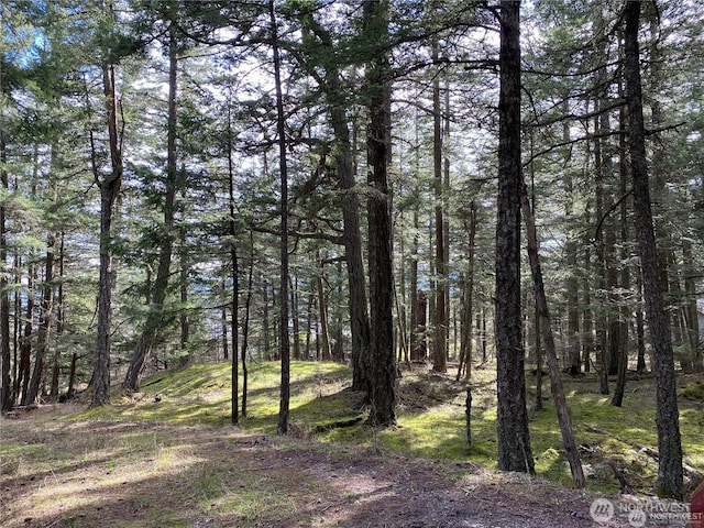 9 Tomihi Dr, Orcas Island, WA 98245 - photo 22
