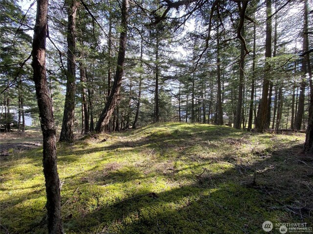 9 Tomihi Dr, Orcas Island, WA 98245 - photo 23